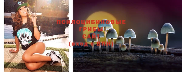 спайс Абаза