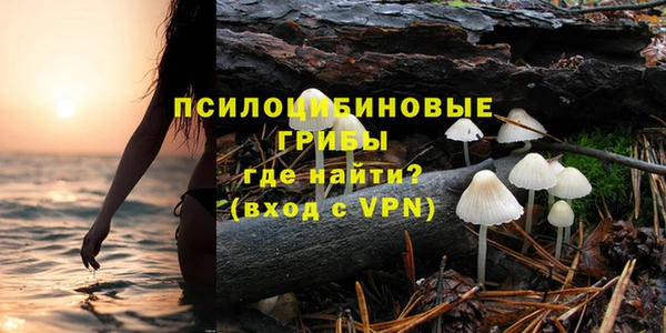 спайс Абаза